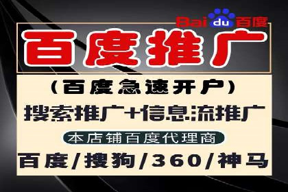 SEM服务公司助力电商增长案例